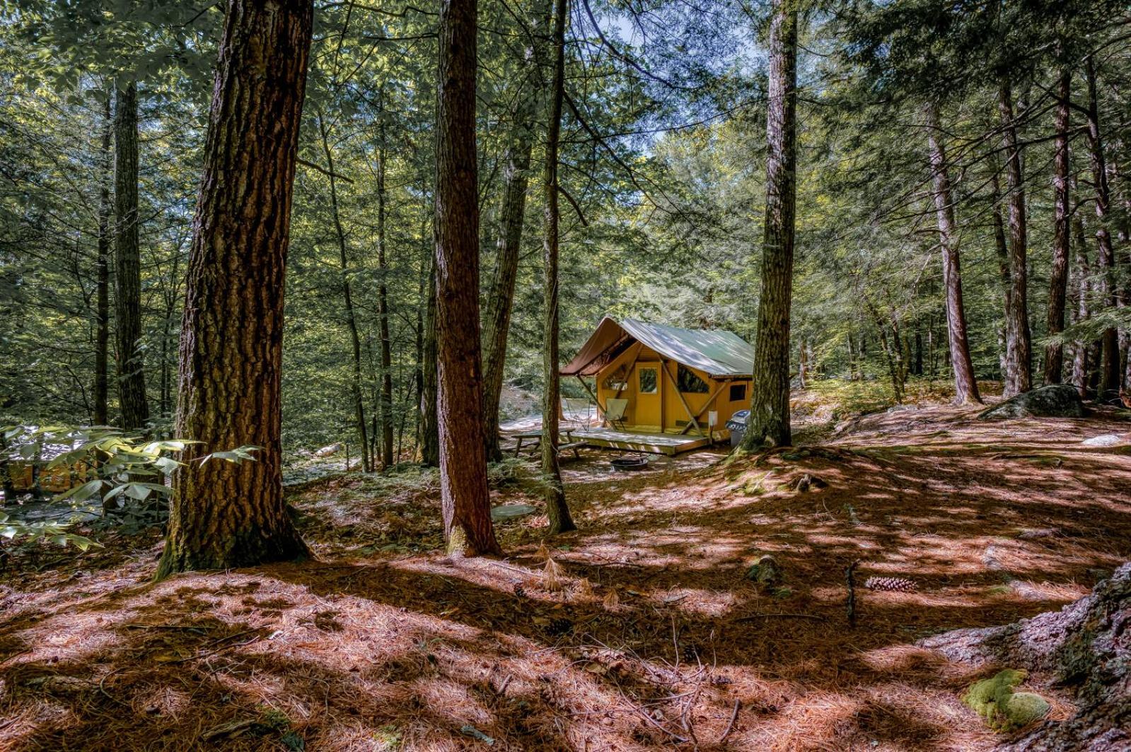 Huttopia White Mountains Albany Екстер'єр фото