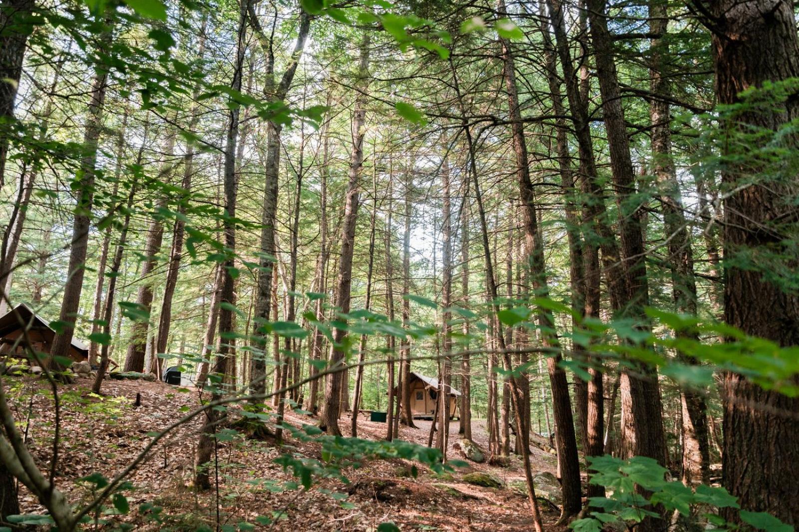 Huttopia White Mountains Albany Екстер'єр фото