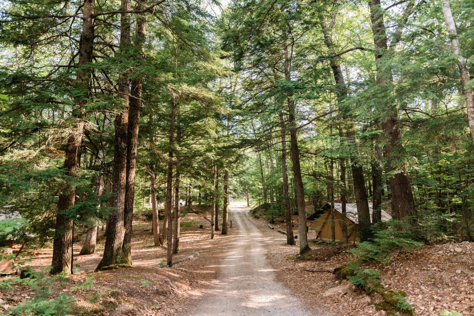 Huttopia White Mountains Albany Екстер'єр фото